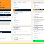 SQL Basics